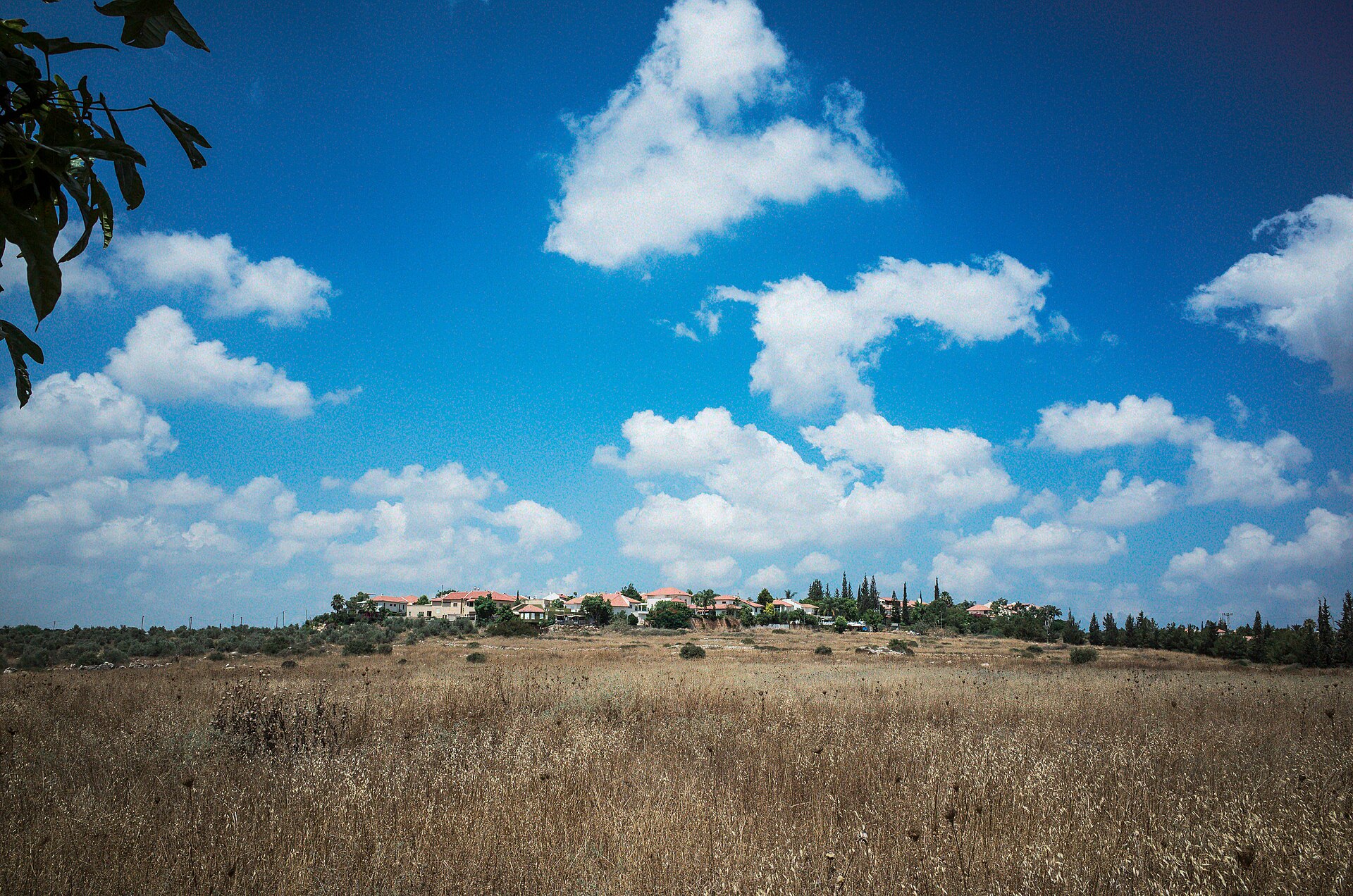 רחוב מגורים באורנית